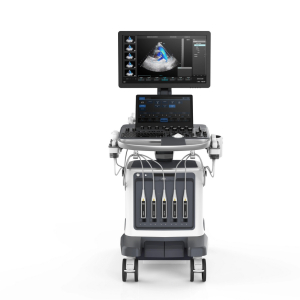 Zoncare ViV 80  Цифровой стационарный УЗИ-сканер премиум класса с цветным, энергетическим, импульсным и постоянным допплером.